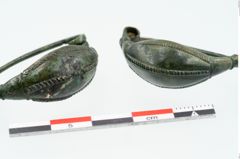 Foto von Bronzekahnfibel (NHMW-PRAE-025353)